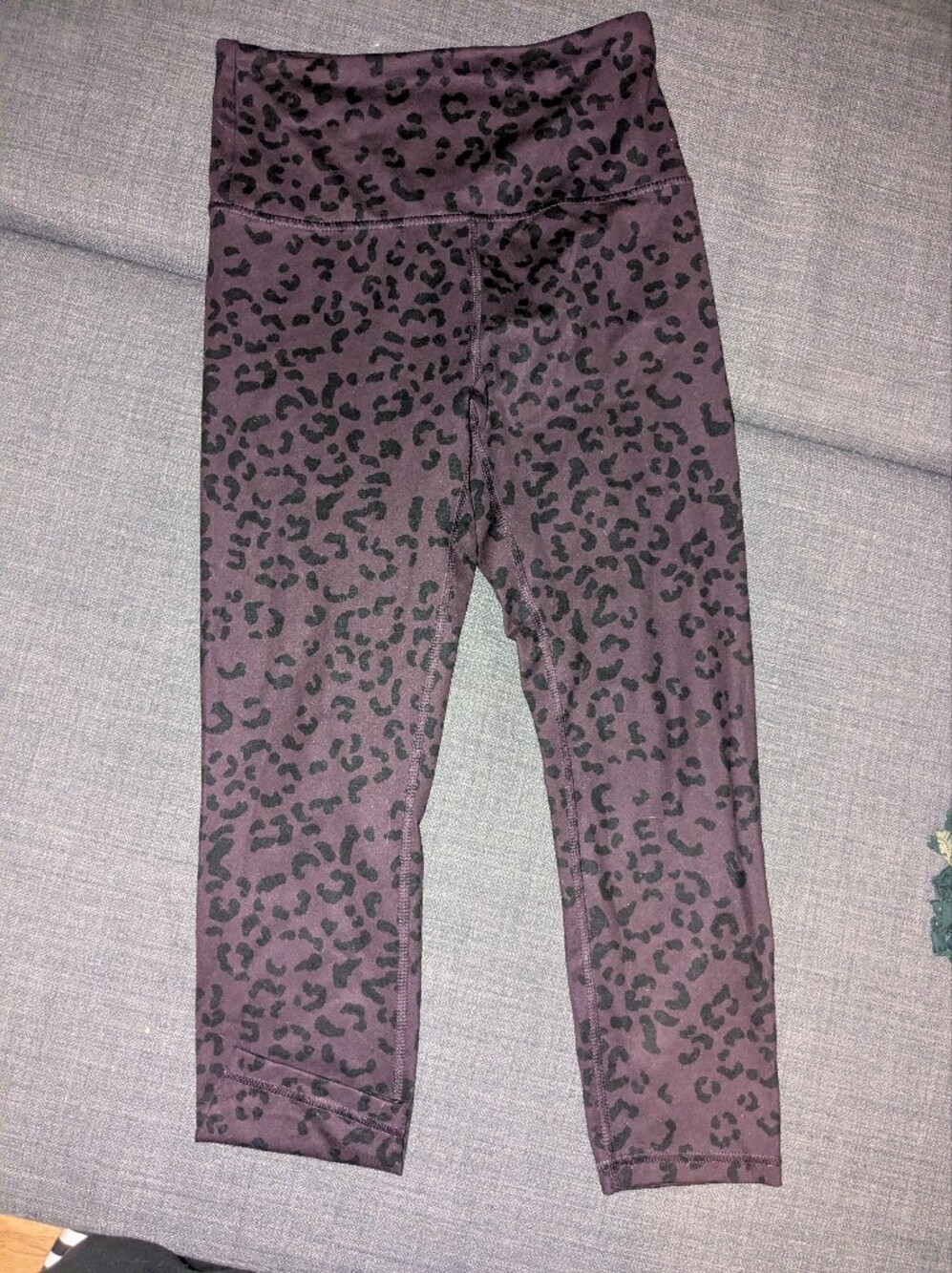Balance Collection Black and Purple Leggings